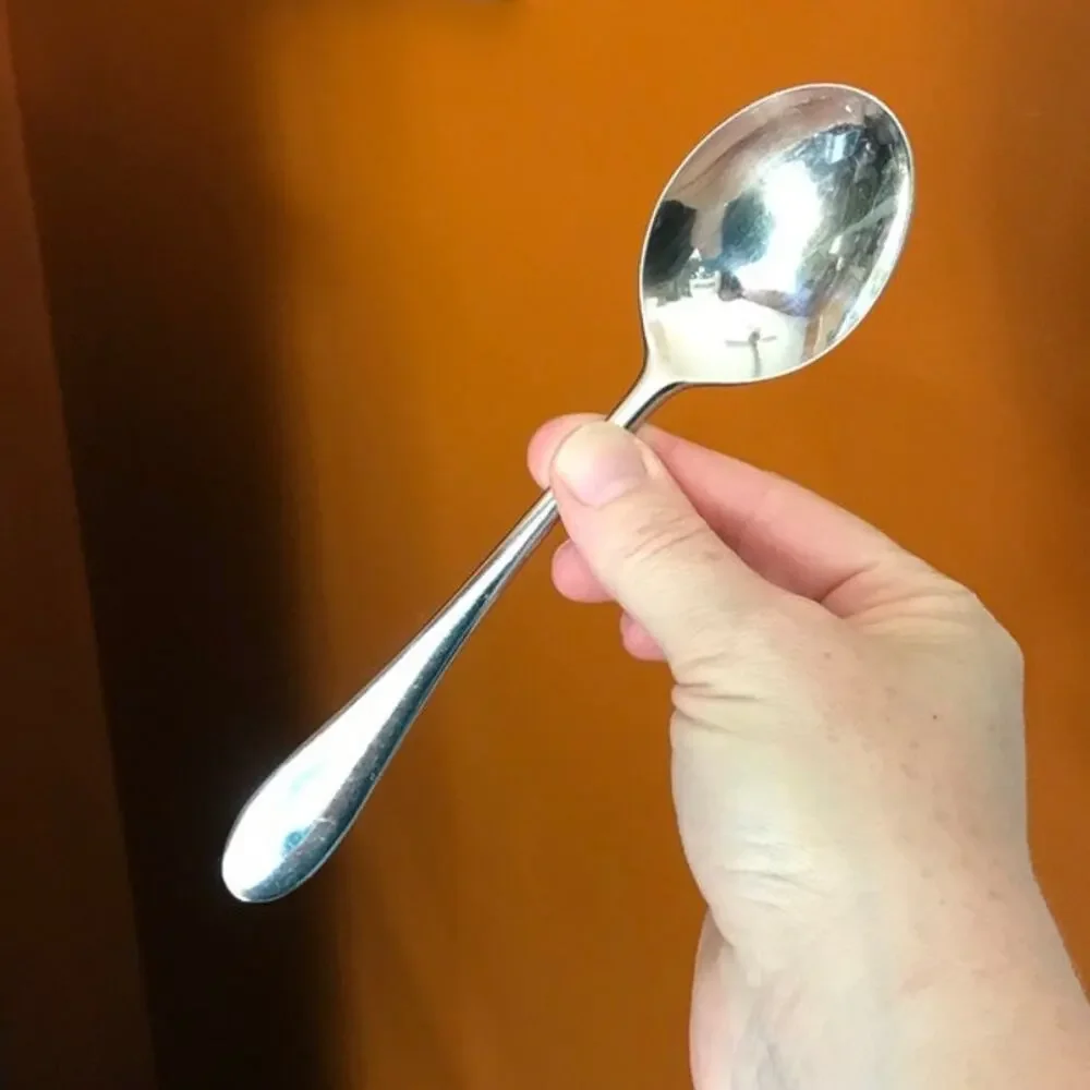 Boda Nova 18/8 Stainless Flatware Japan - single Oval soup / Tablespoon 7 1/2